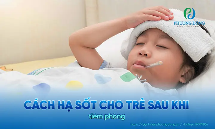 Hạ Sốt Cho Trẻ Sơ Sinh Khi Tiêm Phòng Hạ Sốt Cho Trẻ Sơ Sinh Khi Tiêm Phòng