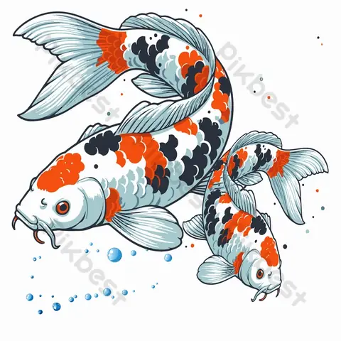 Hình Ảnh Cá Koi