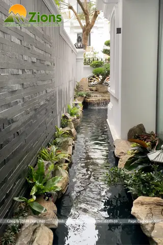 Hồ Cá Koi Bên Hông Nhà Hồ Cá Koi Bên Hông Nhà