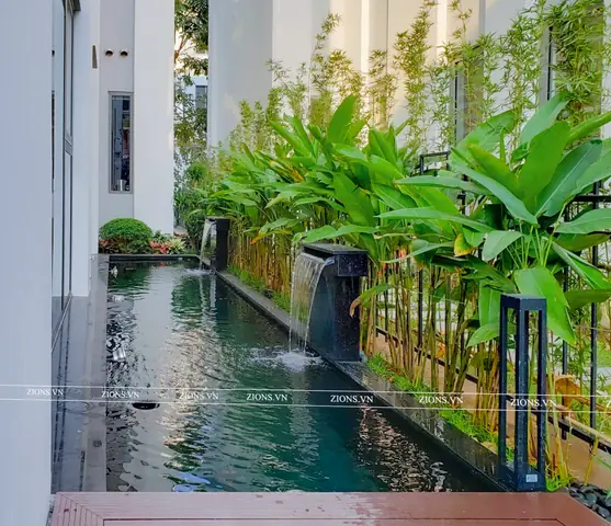 Hồ Cá Koi Bên Hông Nhà Hồ Cá Koi Bên Hông Nhà