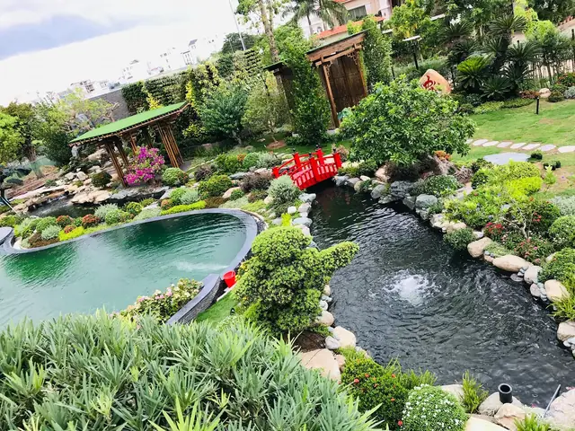 Hồ Cá Koi Bình Dương Hồ Cá Koi Bình Dương