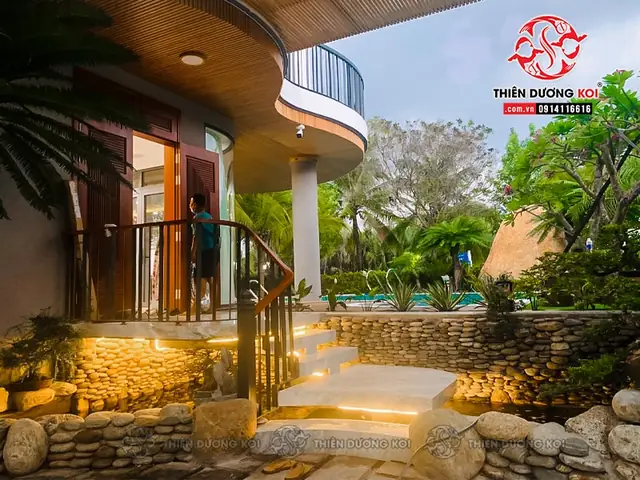 Hồ Cá Koi Bình Dương Hồ Cá Koi Bình Dương