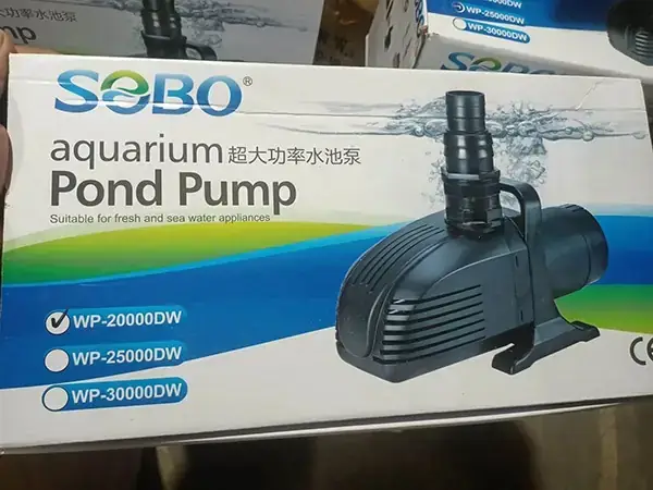 Hồ Cá Koi Giá Bao Nhiêu Hồ Cá Koi Giá Bao Nhiêu