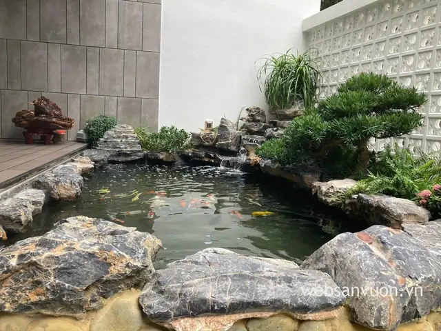 Hồ Cá Koi Hà Nội Hồ Cá Koi Hà Nội