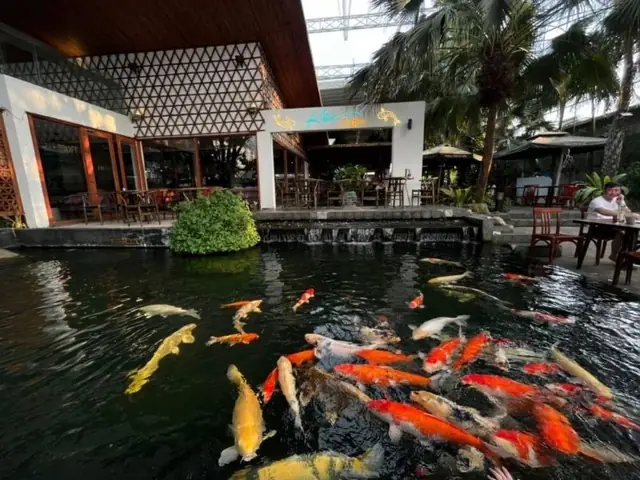 Hồ Cá Koi Hà Nội Hồ Cá Koi Hà Nội