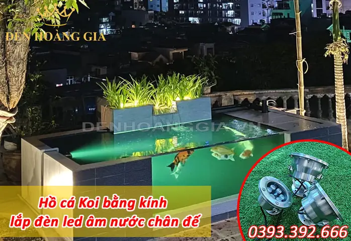 Hồ Cá Koi Mini Bằng Kính Hồ Cá Koi Mini Bằng Kính