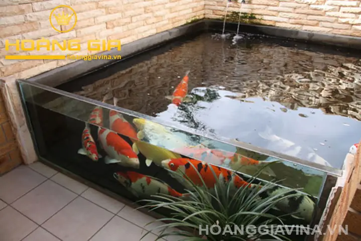 Hồ Cá Koi Mini Bằng Kính Hồ Cá Koi Mini Bằng Kính