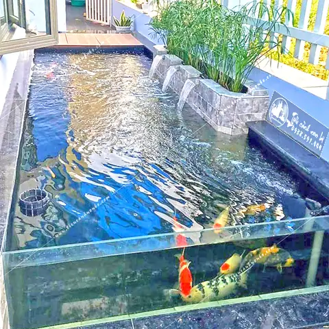 Hồ Cá Koi Mini Bằng Kính Hồ Cá Koi Mini Bằng Kính