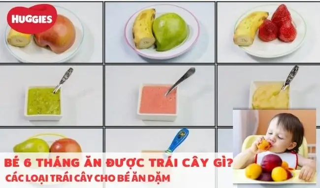 Hoa Quả Cho Bé Tập Ăn Dặm Hoa Quả Cho Bé Tập Ăn Dặm