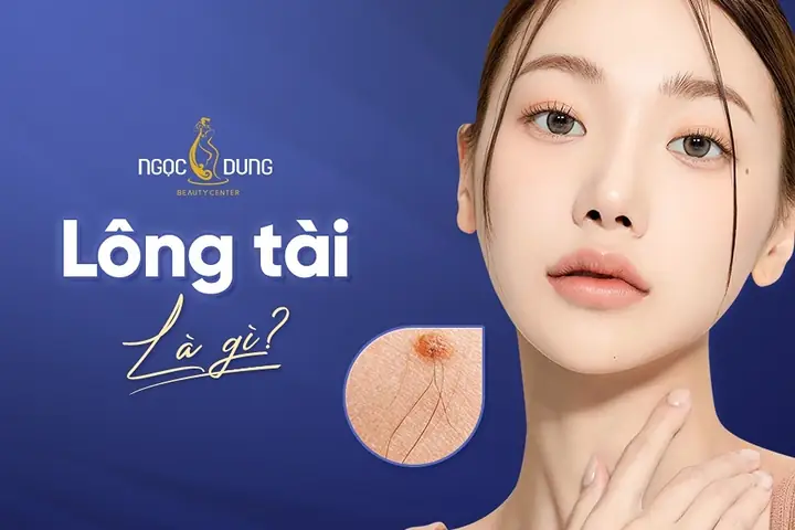 How Long Là Gì How Long Là Gì