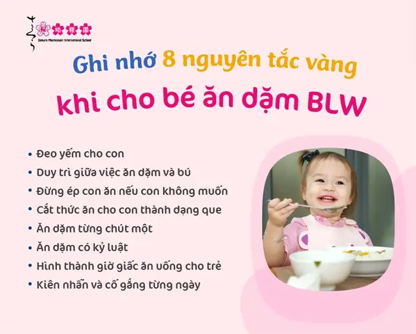 Khi Nào Cho Bé Ăn Dặm Blw Khi Nào Cho Bé Ăn Dặm Blw