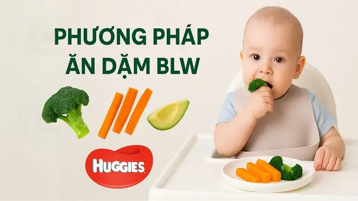 Khi Nào Cho Bé Ăn Dặm Blw Khi Nào Cho Bé Ăn Dặm Blw
