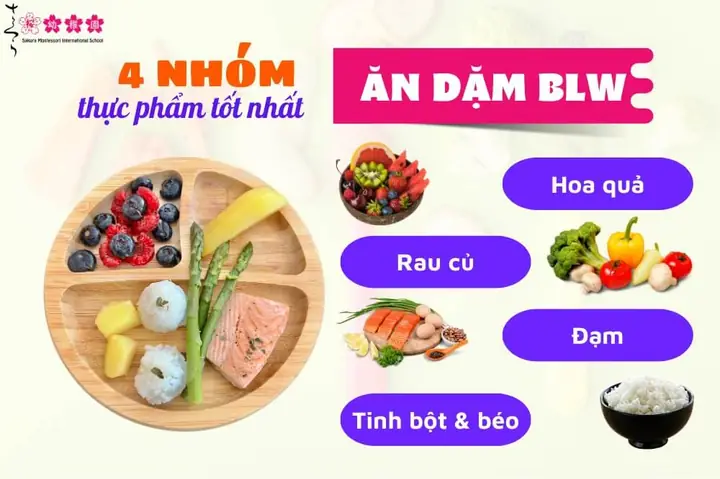 Khi Nào Cho Bé Ăn Dặm Blw Khi Nào Cho Bé Ăn Dặm Blw