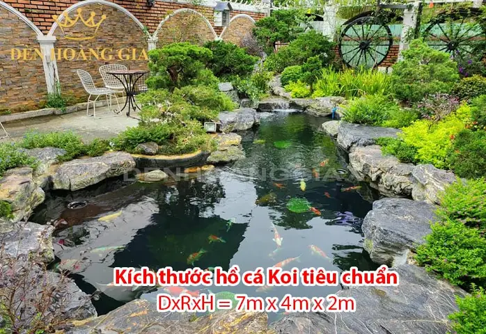 Kích Thước Cá Koi