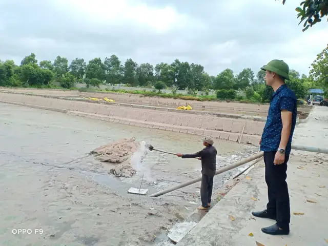 Kỹ Thuật Nuôi Cá Koi Ao Bùn