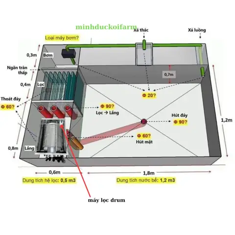 Lọc Nước Hồ Cá Koi Lọc Nước Hồ Cá Koi