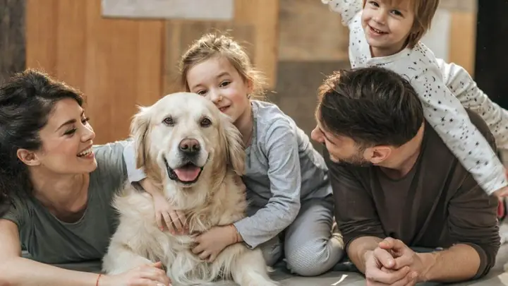 Lợi Ích Của Vật Nuôi Trong Nhà Lợi Ích Của Vật Nuôi Trong Nhà