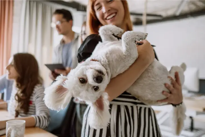 Lợi Ích Của Vật Nuôi Trong Nhà Lợi Ích Của Vật Nuôi Trong Nhà