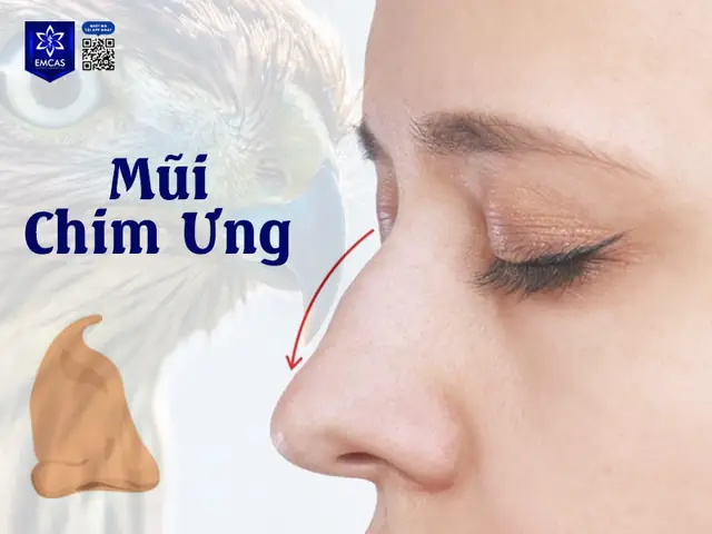 Lông Mũi Dài Tướng Số Lông Mũi Dài Tướng Số