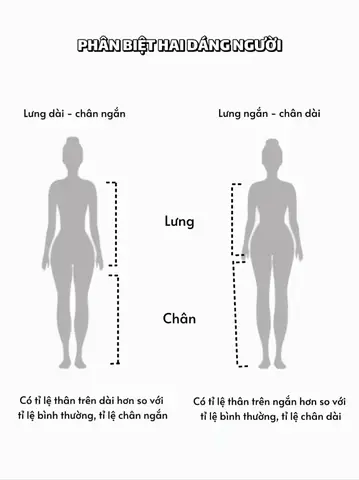 Lưng Dài Chân Ngắn Năm Tướng Số Lưng Dài Chân Ngắn Năm Tướng Số