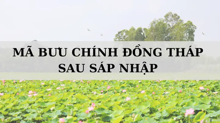 Mã Zip Đồng Tháp Mã Zip Đồng Tháp
