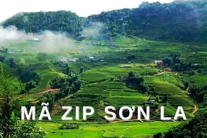 Mã Zip Sơn La Mã Zip Sơn La