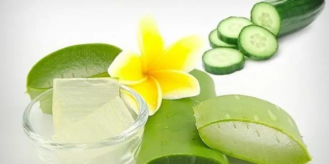 Mặt Nạ Trị Nám Tàn Nhang Từ Thiên Nhiên Mặt Nạ Trị Nám Tàn Nhang Từ Thiên Nhiên
