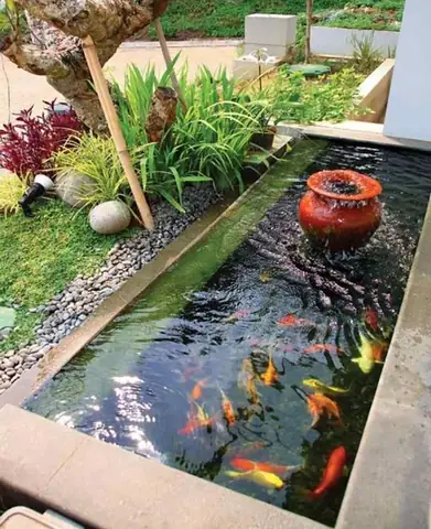 Mẫu Hồ Cá Koi Mini Đẹp Mẫu Hồ Cá Koi Mini Đẹp