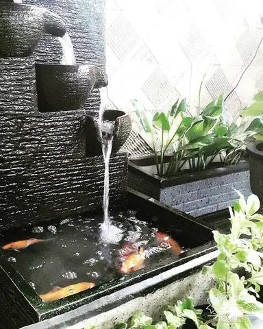 Mẫu Hồ Cá Koi Mini Đẹp Mẫu Hồ Cá Koi Mini Đẹp