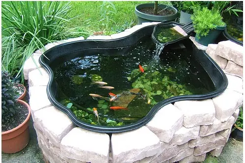 Mẫu Hồ Cá Koi Mini Đẹp Mẫu Hồ Cá Koi Mini Đẹp