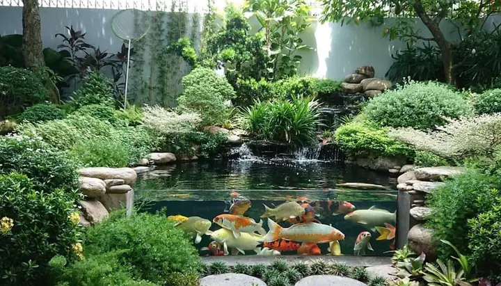 Mẫu Hồ Cá Koi Ngoài Trời