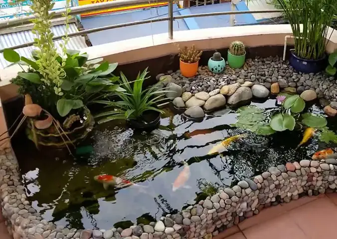 Mẫu Hồ Cá Koi Ngoài Trời