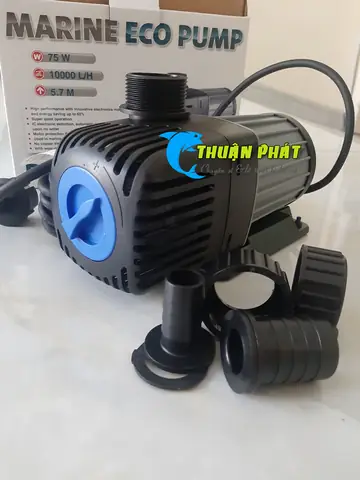 Máy Bơm Hồ Cá Koi Máy Bơm Hồ Cá Koi
