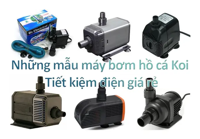Máy Bơm Hồ Cá Koi Mini Máy Bơm Hồ Cá Koi Mini
