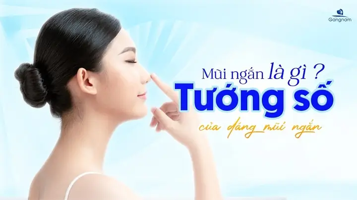 Mũi Ngắn Tướng Số Mũi Ngắn Tướng Số