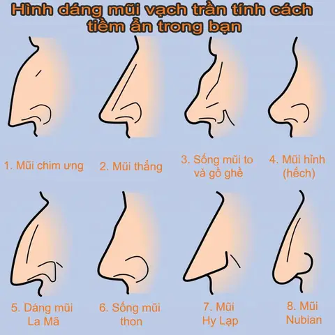 Mũi Nhọn Tướng Số