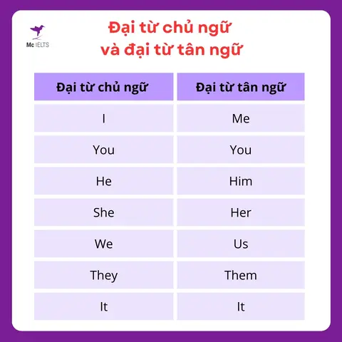 Ngũ Tân Là Gì Ngũ Tân Là Gì