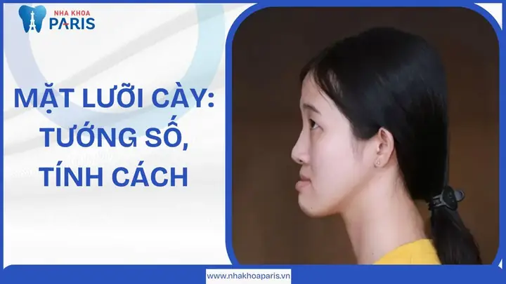 Những Thói Quen Xấu Về Mặt Tướng Số Những Thói Quen Xấu Về Mặt Tướng Số