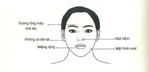 Những Tướng Mặt Phụ Nữ Khổ Những Tướng Mặt Phụ Nữ Khổ