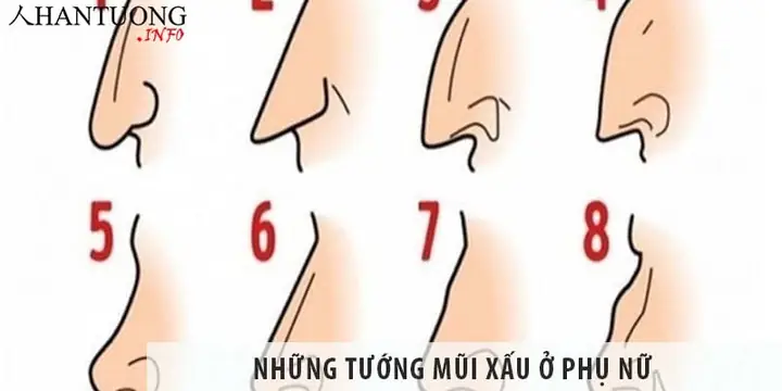 Những Tướng Mũi Xấu Những Tướng Mũi Xấu