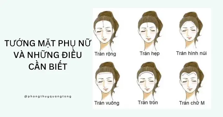 Phong Thủy Tướng Mặt Phong Thủy Tướng Mặt