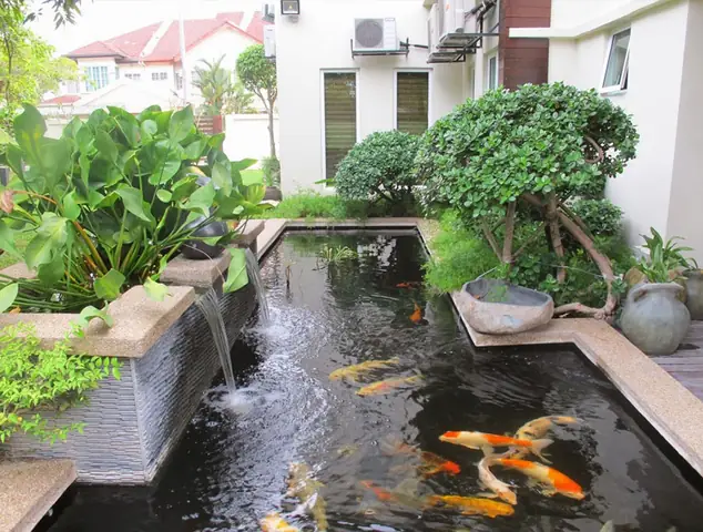 Phụ Kiện Bể Cá Koi