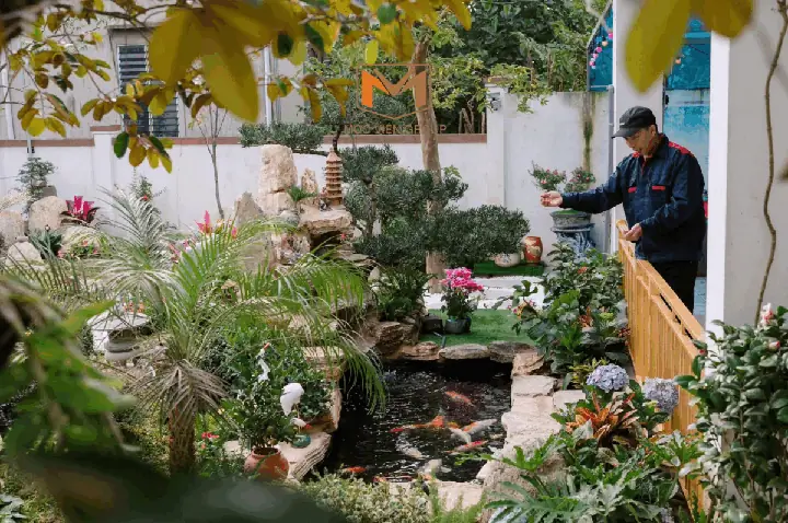 Quy Trình Thi Công Hồ Cá Koi Quy Trình Thi Công Hồ Cá Koi