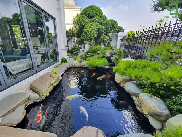Quy Trình Thi Công Hồ Cá Koi Quy Trình Thi Công Hồ Cá Koi