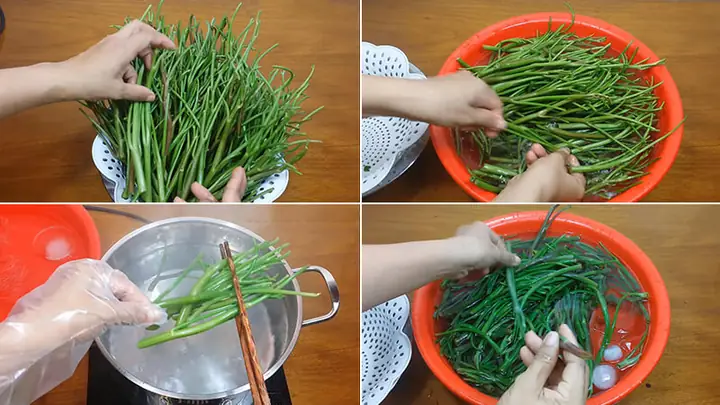 Cách Làm Rau Muống Ngâm Chua Ngọt Giòn Ngon, Tỏi Không Bị Xanh Tại Nhà Cách Làm Rau Muống Ngâm Chua Ngọt Giòn Ngon, Tỏi Không Bị Xanh Tại Nhà