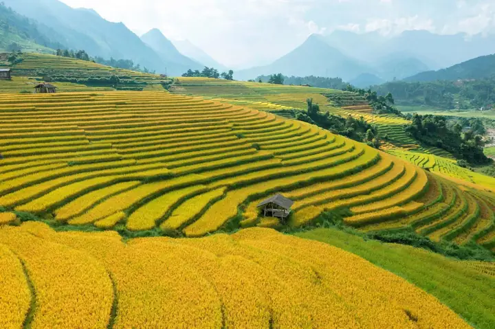 Sa Pa Ở Đâu