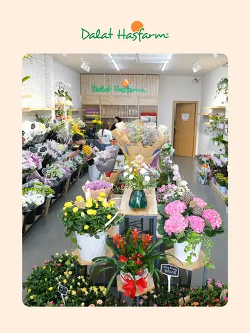 Shop Hoa Gò Vấp Shop Hoa Gò Vấp