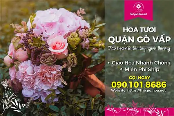 Shop Hoa Gò Vấp Shop Hoa Gò Vấp