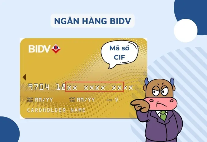 Số Cif Là Gì Số Cif Là Gì