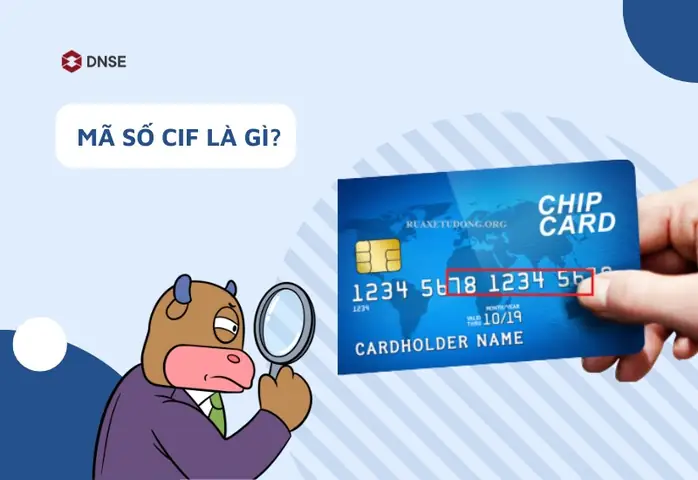 Số Cif Là Gì Số Cif Là Gì